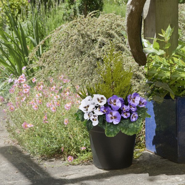 Artificial Purple & White Pansy Black Patio Planter 60cm/24in - A1078
