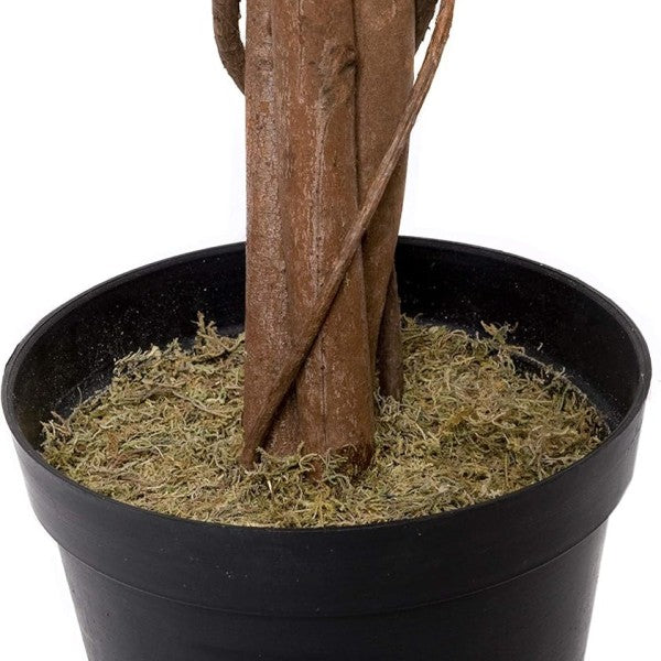 Artificial Variegated Ficus Tree 180cm/6ft - A1272