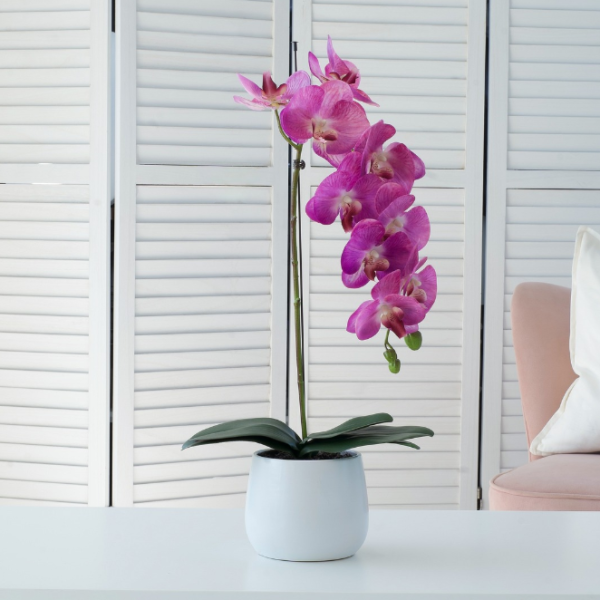 Elegant Large Single Stem Pink Real Touch Artificial Potted Orchid (65cm) in Round White Ceramic Pot - A1318