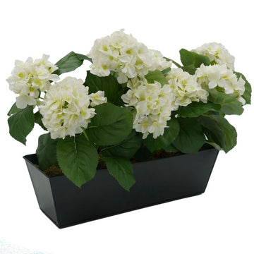 Artificial White Hydrangea in Black Metal Window Box - A1321