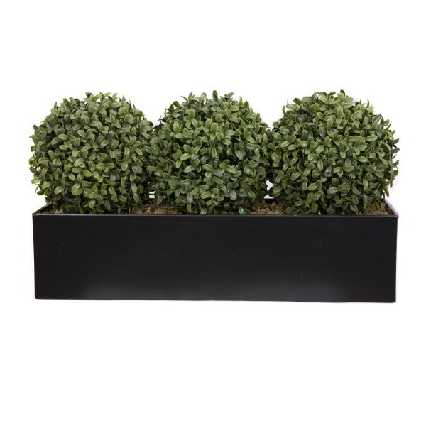 Artificial Topiary Triple Ball Aglaia Boxwood in Black Straight Tin Window Box 54cm/21in - A1067
