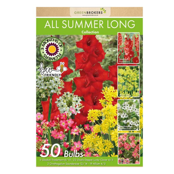 All Summer Long Flowering Bulbs Big Value Pack Mixed Colours (50 Bulbs) - B1312