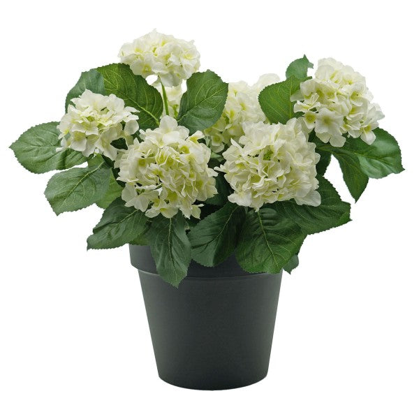 Artificial White Hydrangea in Black Pot 50cm/20in - A1356