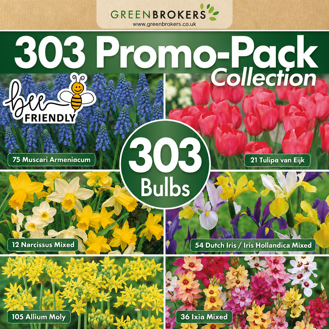 303 Spring Bulb Promo-Pack Collection Mix - B1165
