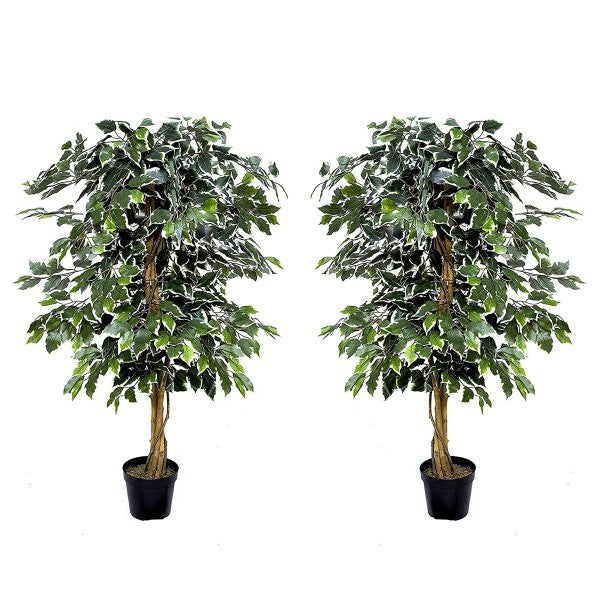 2 x Artificial Variegated Ficus Trees 120cm/4ft - A1155
