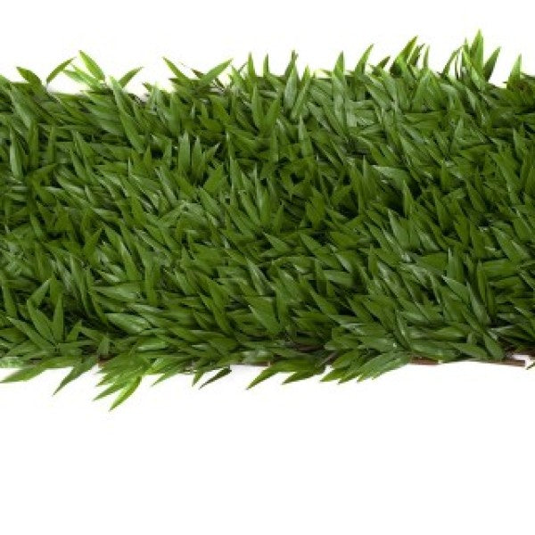 Artificial Expanding Green Wall Willow Trellis Fence with Bamboo Leaf Foliage (1m x 2m) - A1149