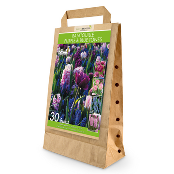 GreenBrokers Ratatouille Purple & Blue Tones Bulb Mix – 30 Dutch Bulbs B1174