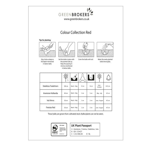 Red Colour Collection Summer Flowering Bulbs (50 Bulbs) - GB1306
