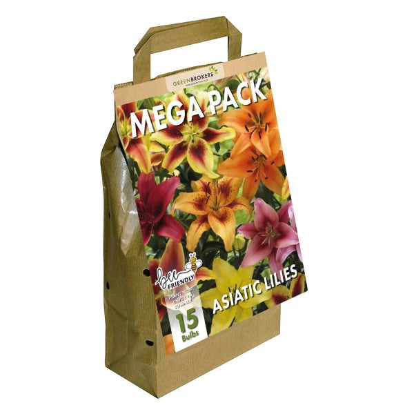 Big Buy Mega Summer Pack Lilies Mixed Colours (15 Bulbs) - B1302