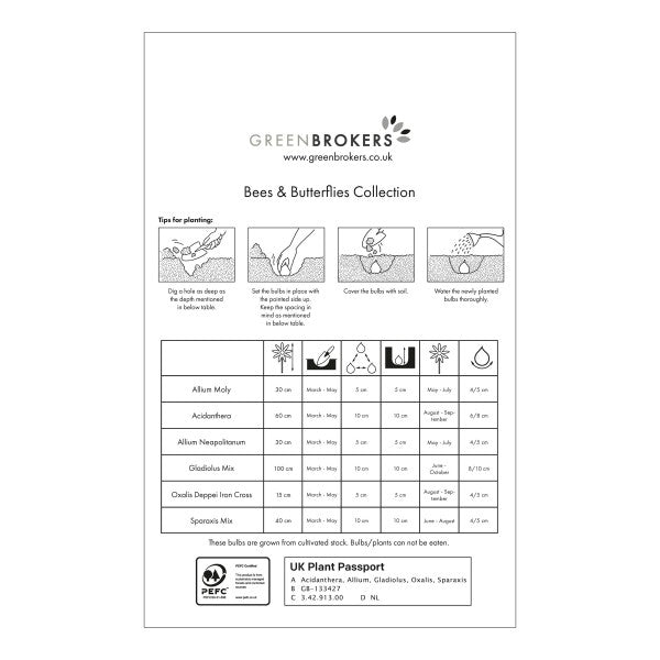 Bee and Butterfly Summer Collection Big Value Pack 6 Flowering Varieties Mixed Colour (101 Bulbs) - B1311