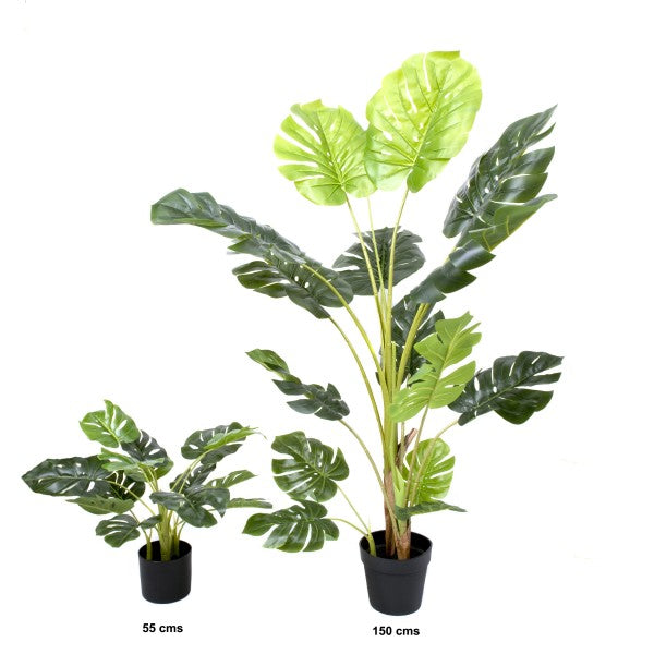 *Clearance* Artificial Tropical Monstera Tree in Black Pot 55cm/22in - A1292C