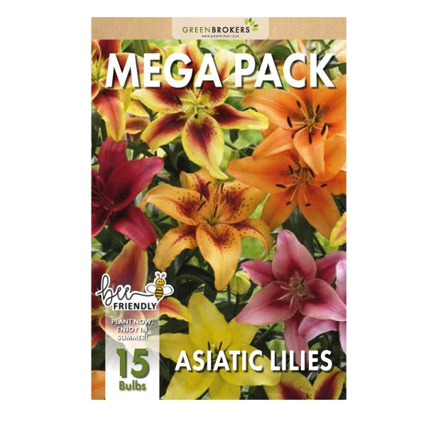 Big Buy Mega Summer Pack Lilies Mixed Colours (15 Bulbs) - B1302