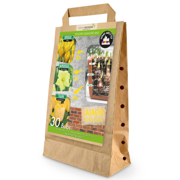 GreenBrokers Yellow Lasagne Bulb Mix – 30 Spring Bulbs, Bee-Friendly B1204