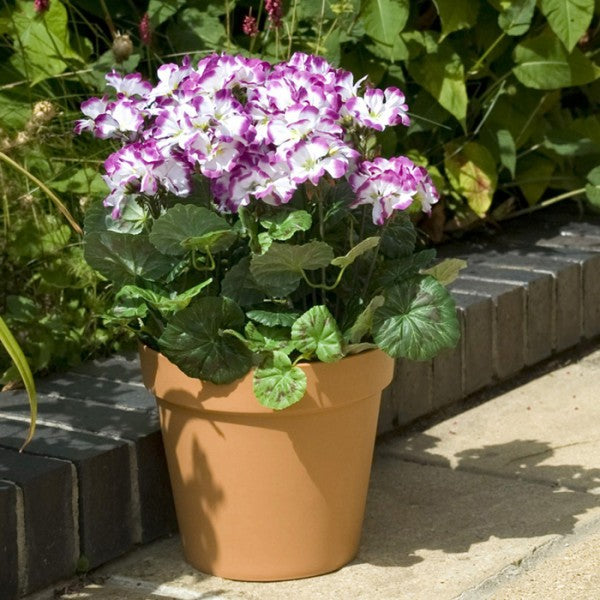 Artificial Red Geranium Terracotta Patio Planter 50cm/20in - A1083