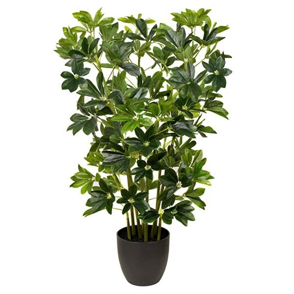 *Clearance* Artificial Schefflera Umbrella Plant in Black Pot 95cm/3ft - A1163C