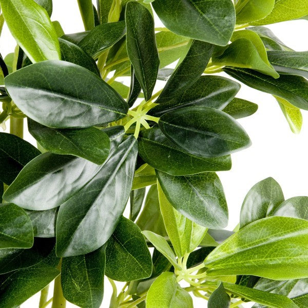*Clearance* Artificial Schefflera Umbrella Plant in Black Pot 95cm/3ft - A1163C