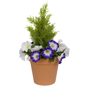 Artificial Purple &amp; White Petunia Terracotta Patio Planter 60cm/24in - A1247
