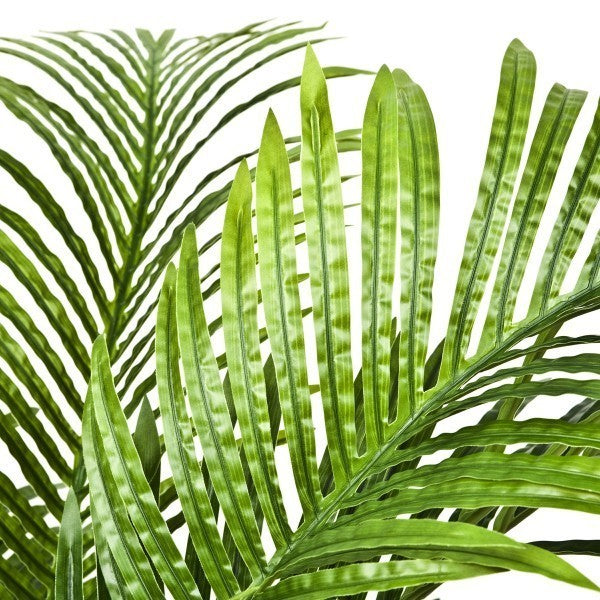 Artificial Real Touch Areca Phoenix Palm Tree 150cm/5ft - A1125