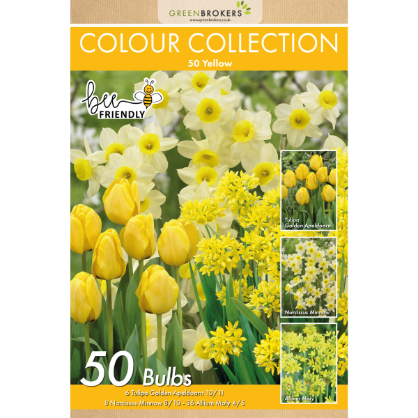 GreenBrokers Yellow Colour Collection – 50 Dutch Bulbs, Bee-Friendly Mix B1217