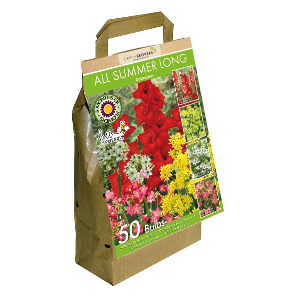 All Summer Long Flowering Bulbs Big Value Pack Mixed Colours (50 Bulbs) - B1312