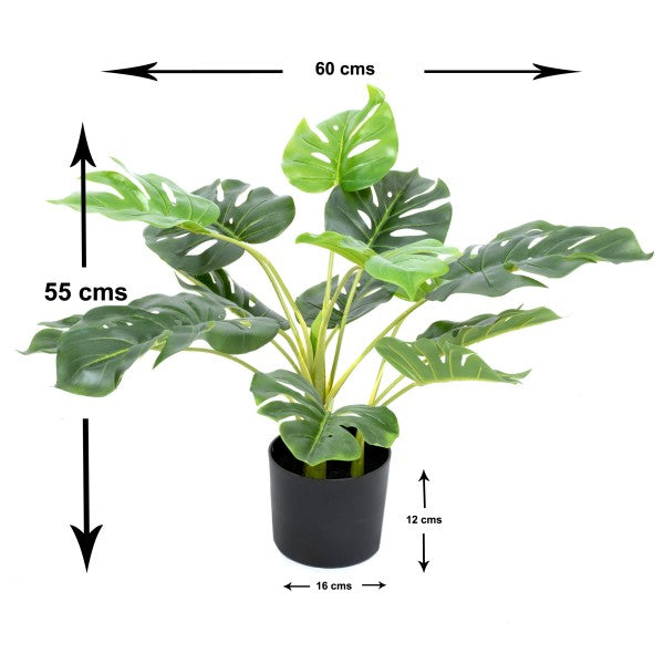 *Clearance* Artificial Tropical Monstera Tree in Black Pot 55cm/22in - A1292C