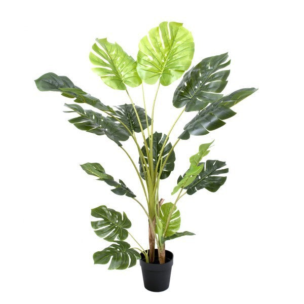 *Clearance* Artificial Tropical Monstera Tree in Black Pot 150cm/60in - A1291C
