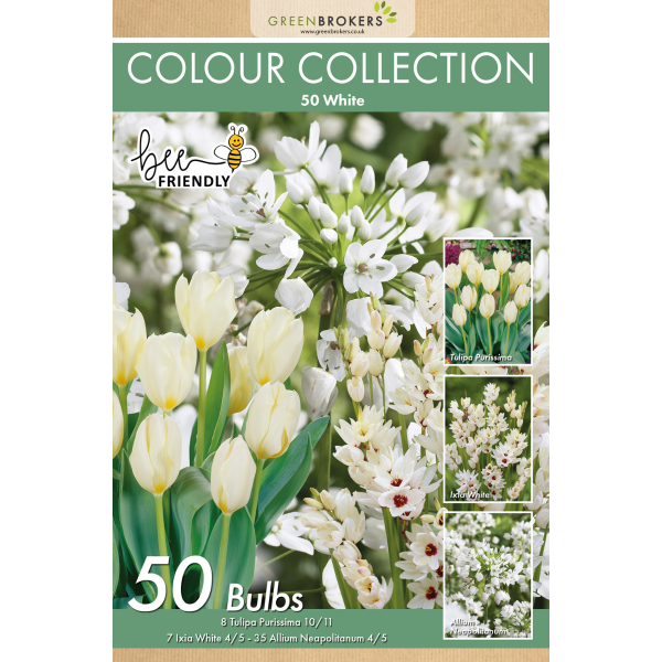 GreenBrokers White Colour Collection – 50 Dutch Bulbs, Bee-Friendly Mix B1214