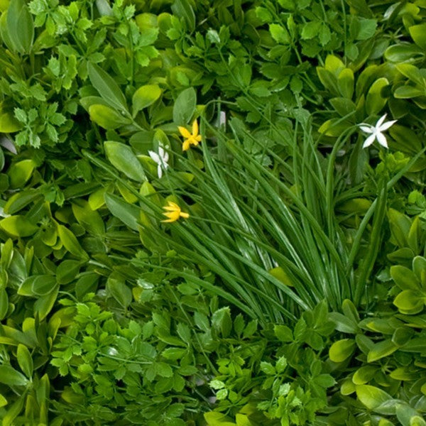 Artificial Premium Green Wall Hedge with Mixed Leaf Foliage Yellow &amp; White Flowers Pack of 4 x 50cm/20in - A1269