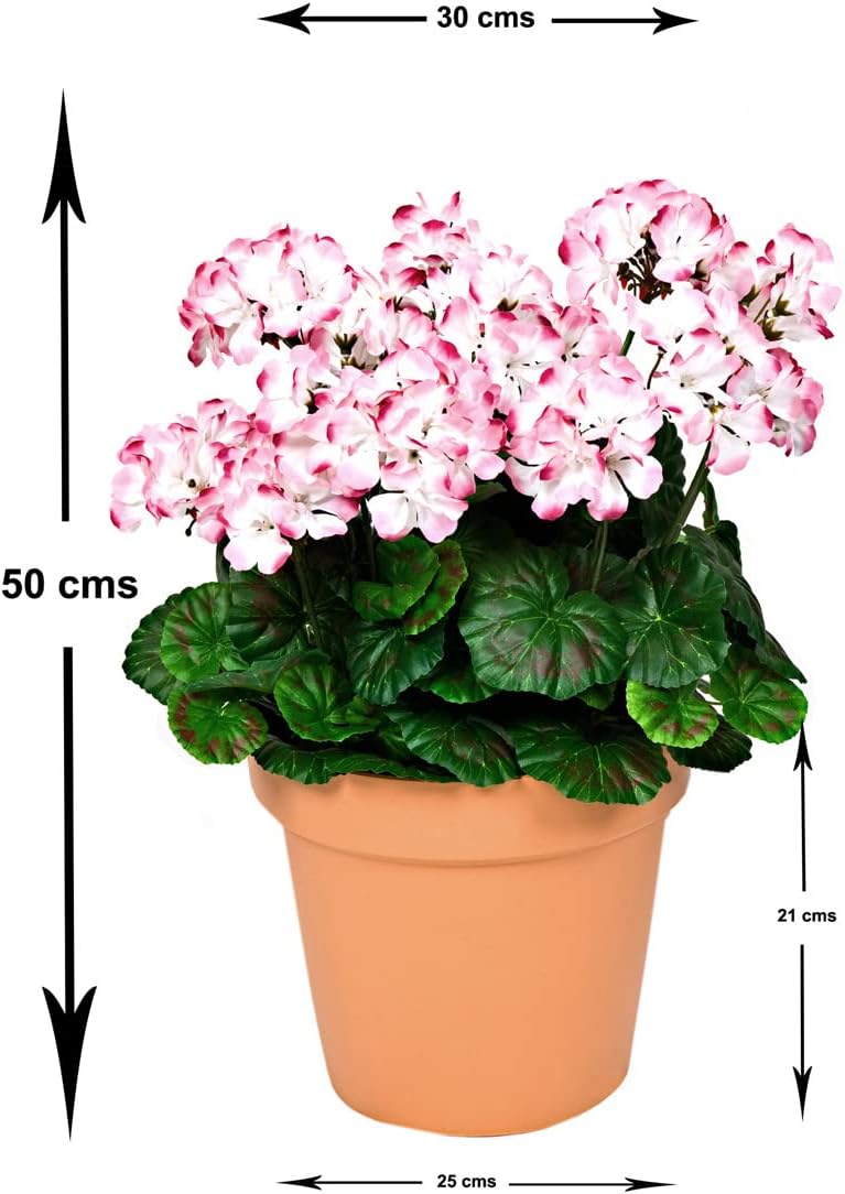 Pink & White Geranium Terracotta Patio Planter 50cm/20in - A1085