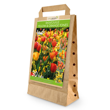 GreenBrokers Ratatouille Yellow & Orange Bulb Mix – 30 Dutch Bulbs, Bee-Friendly B1169