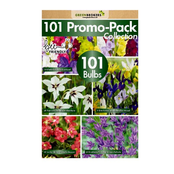 101 Bulbs Promo Pack Collection Summer Flowering Varieties Mixed Colour - B1305