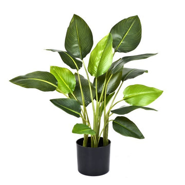 Artificial Real Touch Bird of Paradise Plant 78cm/2.5ft - A1048