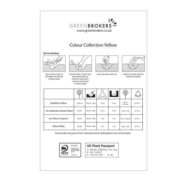 Yellow Colour Collection Summer Flowering Bulbs (50 Bulbs) - B1310