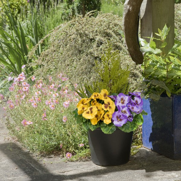 Artificial Purple & Yellow Pansy Black Patio Planter 60cm/24in - A1080