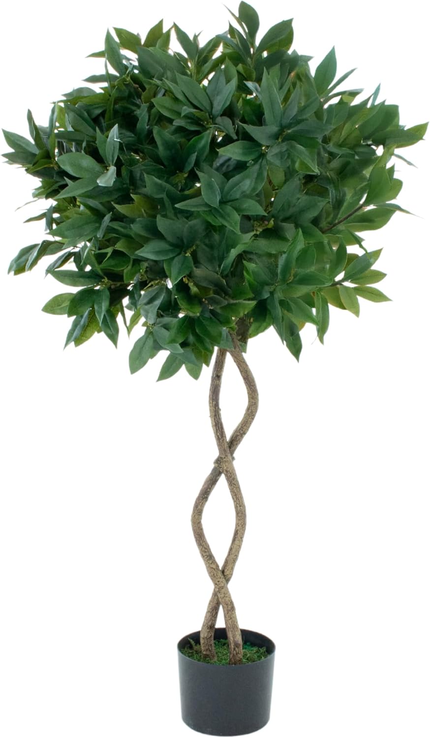 Artificial Twisted Trunk Bay Laurel Tree With Wood Effect Trunk, Natural Leaf and Brown Berries 4ft/120 cm - A1324