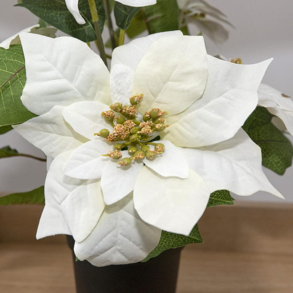 GreenBrokers Artificial White Poinsettia Christmas Plant in Pot 36cm D1400