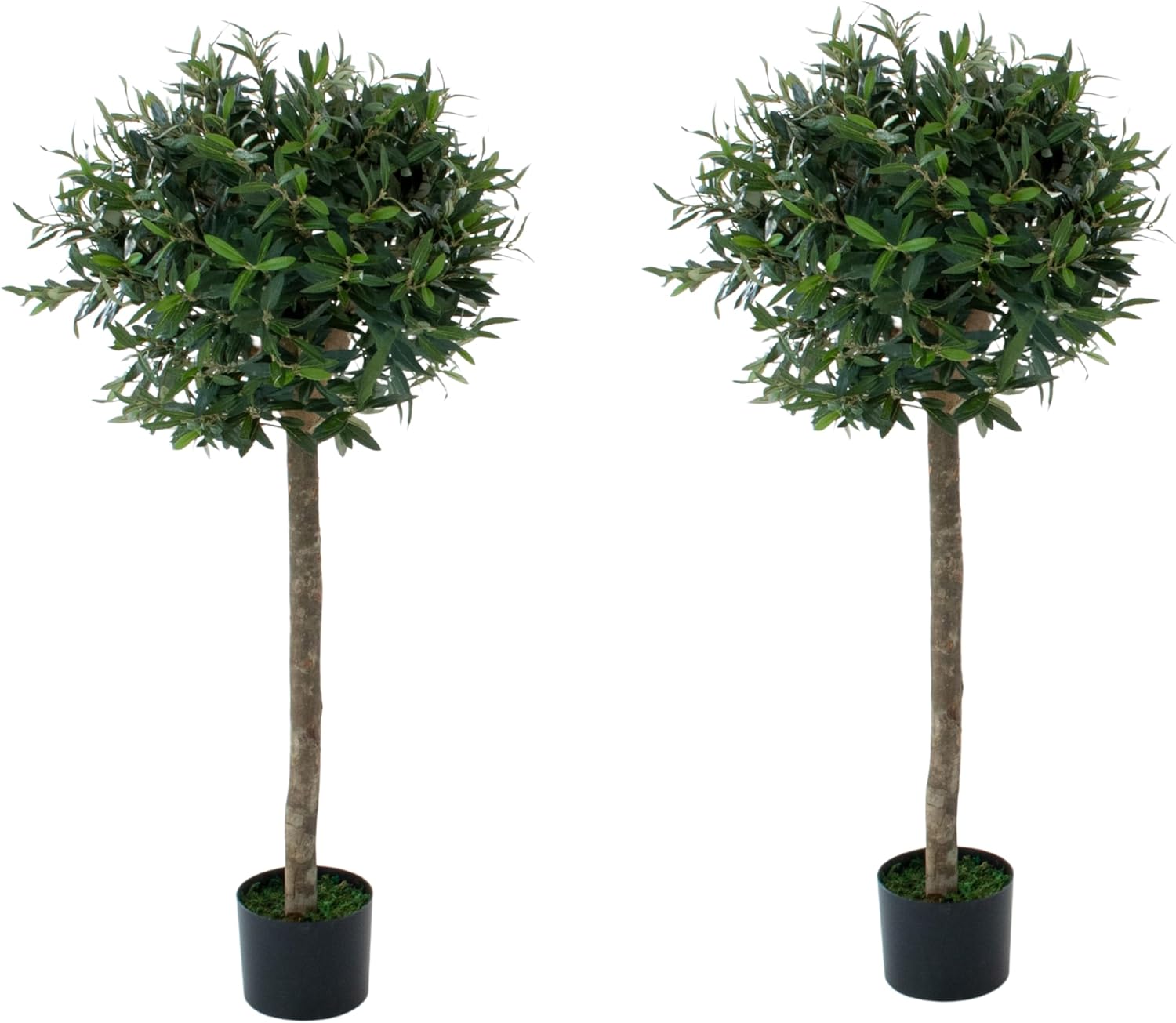 Olive Trees (Set of 2) 4ft/120 cm -  With Real Wood Trunk, Premium Quality & Natural Appearance - A1046