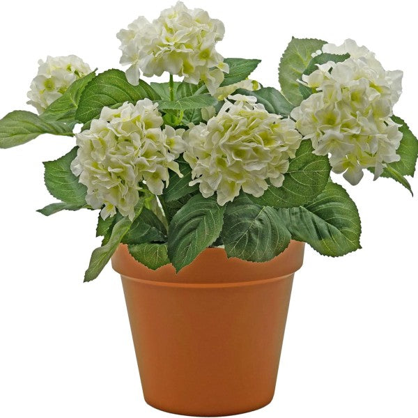Artificial White Hydrangea in Terracotta Pot 50cm/20in - A1309