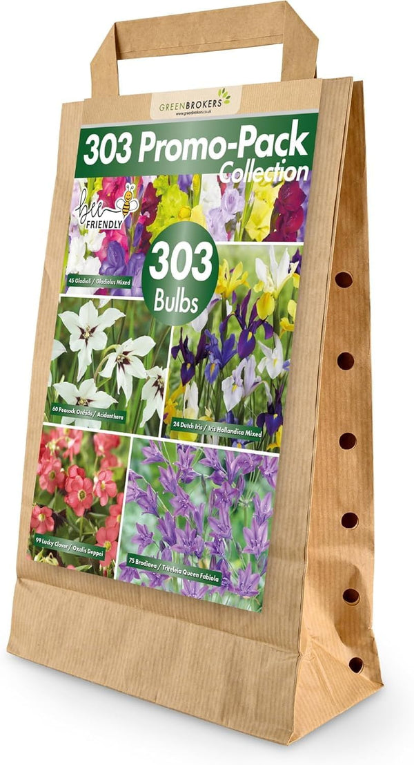 Mixed Summer Flowering Bulbs | 303 Bulbs in 5 Varieties | Bee & Butterfly Friendly | Eco Packaging | Premium Quality - B1338-GB