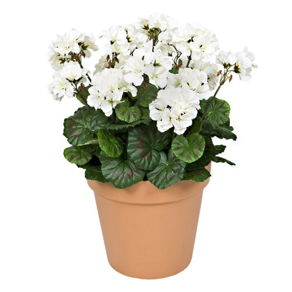 Artificial White Geranium Terracotta Patio Planter 50cm/20in - A1084