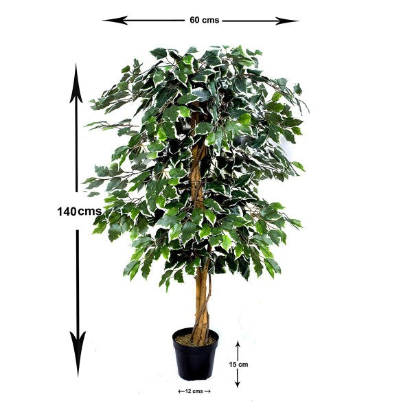 *Clearance* 2 x Artificial Variegated Ficus Trees 120cm/4ft - A1155C