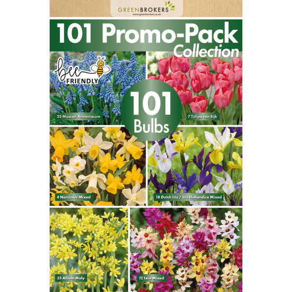 GreenBrokers Big Buy Spring Bulb Mix – 101 Bee-Friendly Dutch Bulbs B1212