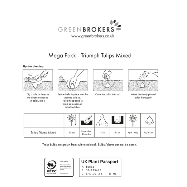 GreenBrokers Big Value Tulip Bulb Pack – 35 Mixed Colour Dutch Bulbs B1089