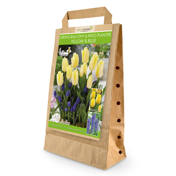 GreenBrokers Balcony and Patio Planter Bulb Mix – 40 Yellow & Blue Bulbs B1316