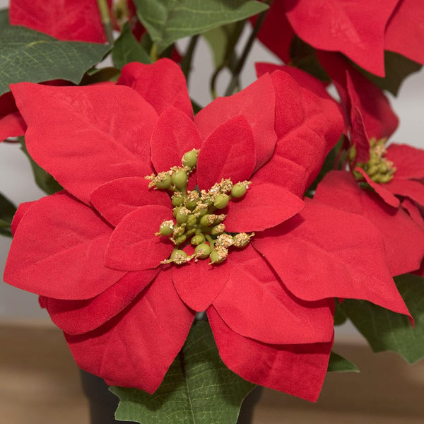 GreenBrokers Artificial Red Poinsettia Christmas Plant in Pot 46cm D1357
