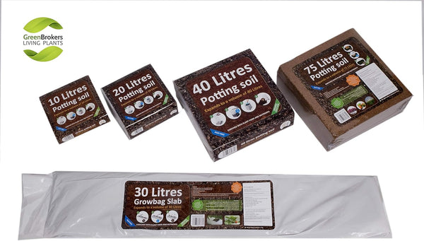 Organic All Purpose Potting Compost Soil - 20L - C1161