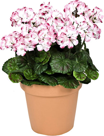 Pink & White Geranium Terracotta Patio Planter 50cm/20in - A1085