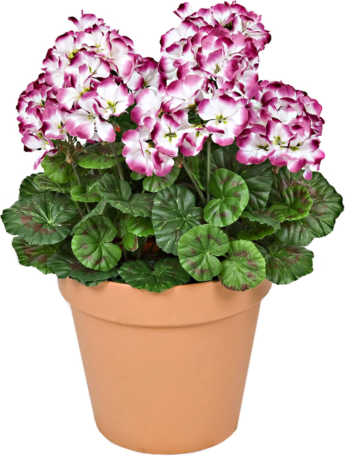 Purple & White Geranium Terracotta Plastic Patio Planter 50cm/20in - A1086