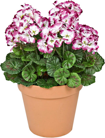 Purple & White Geranium Terracotta Plastic Patio Planter 50cm/20in - A1086