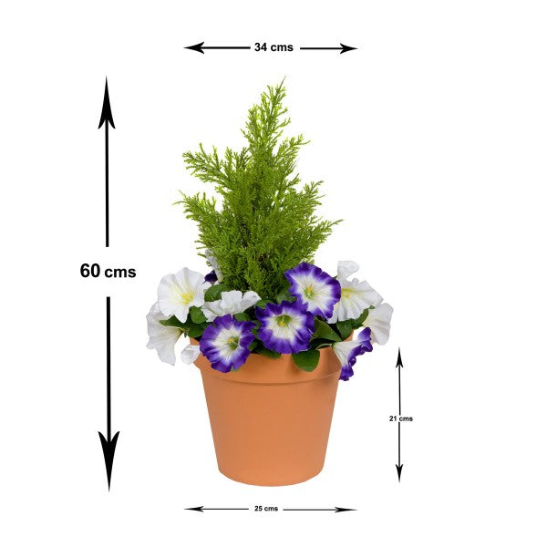 Artificial Purple &amp; White Petunia Terracotta Patio Planter 60cm/24in - A1247